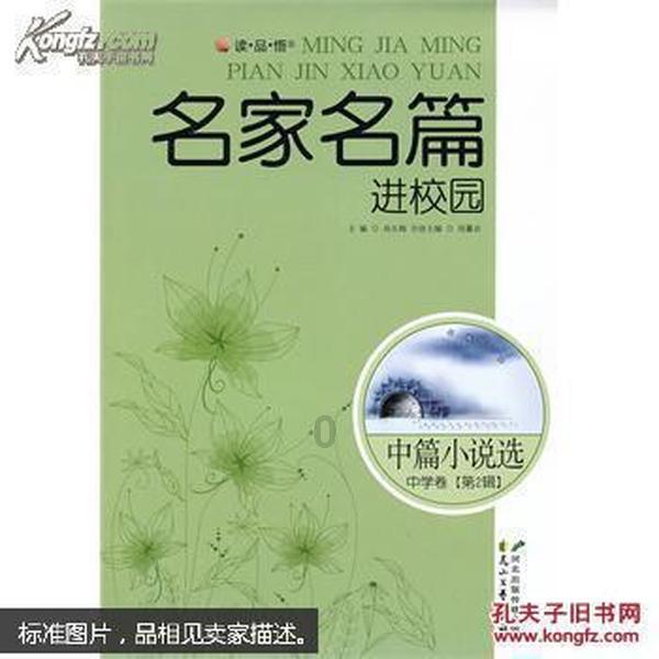 中国道路vs西方文化，逆全球化时代我们有何新机遇？游戏画面